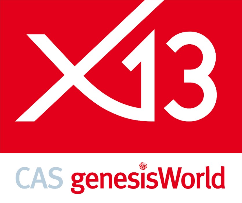 Logo x13